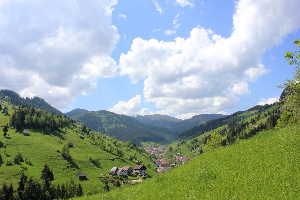 Ranger Chalet Moeciu De Sus Bilik gambar